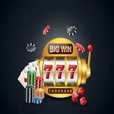 d55 casino
